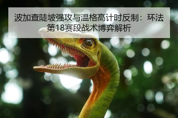 波加查陡坡强攻与温格高计时反制：环法第18赛段战术博弈解析