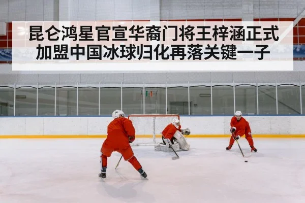 Chinese ice hockey team