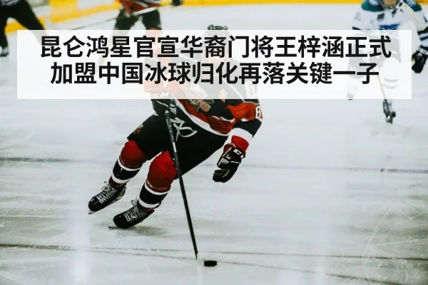 ice hockey player
